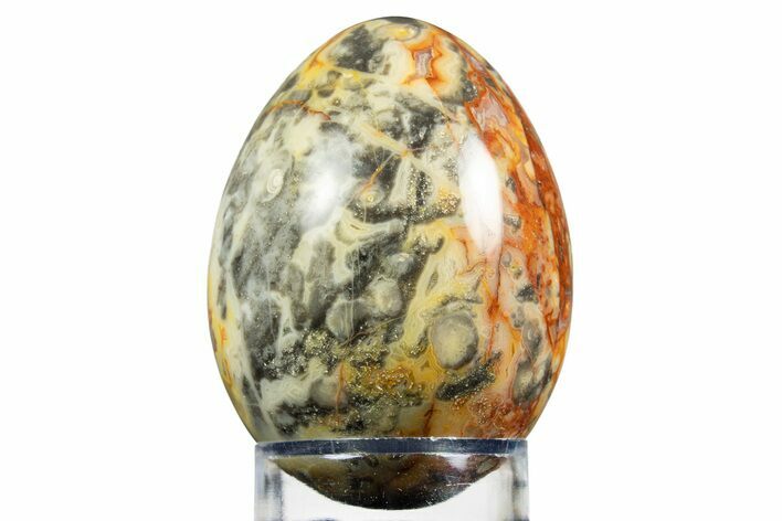 Polished Crazy Lace Agate Egg - Australia #308748